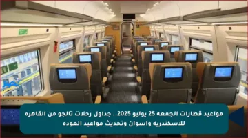 مواعيد قطارات الجمعة 25 يوليو 2025.. جداول رحلات تالجو من القاهرة للإسكندرية وأسوان وتحديث مواعيد العودة